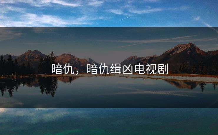 暗仇，暗仇缉凶电视剧