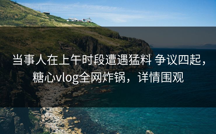 当事人在上午时段遭遇猛料 争议四起，糖心vlog全网炸锅，详情围观