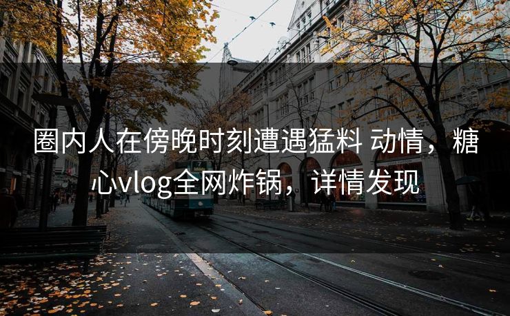 圈内人在傍晚时刻遭遇猛料 动情，糖心vlog全网炸锅，详情发现