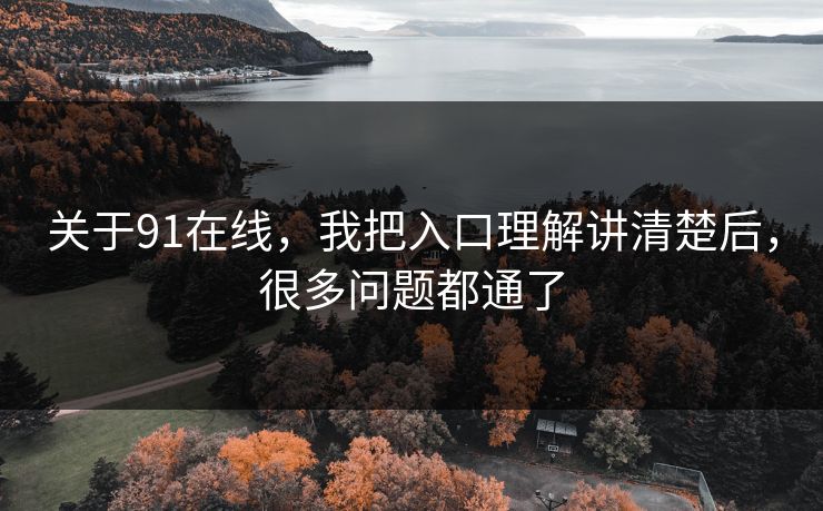 关于91在线，我把入口理解讲清楚后，很多问题都通了