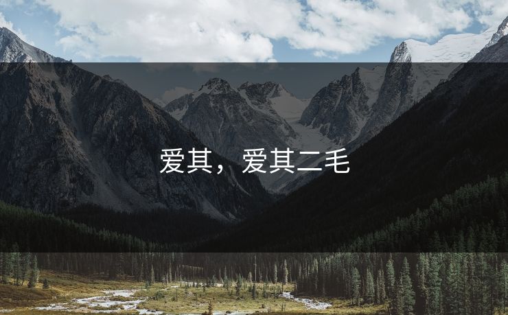 爱其，爱其二毛