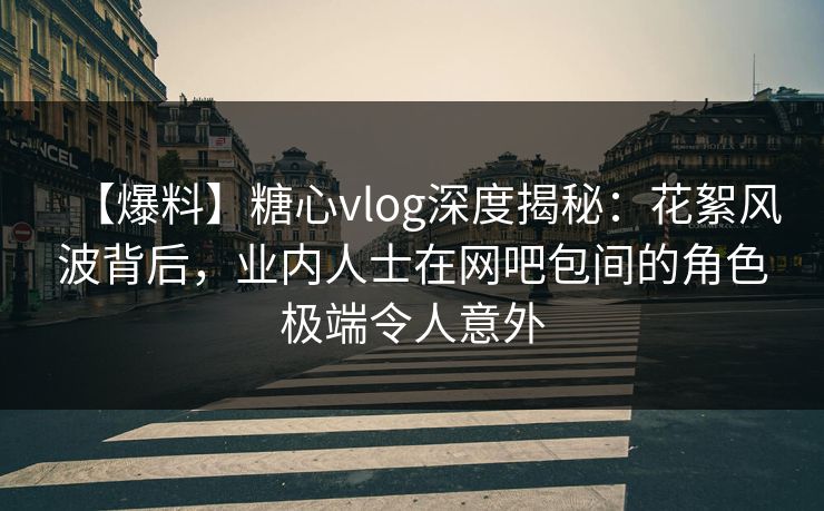 【爆料】糖心vlog深度揭秘：花絮风波背后，业内人士在网吧包间的角色极端令人意外